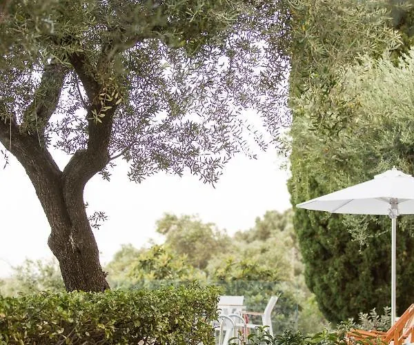 Oliva E Mare Luxury
